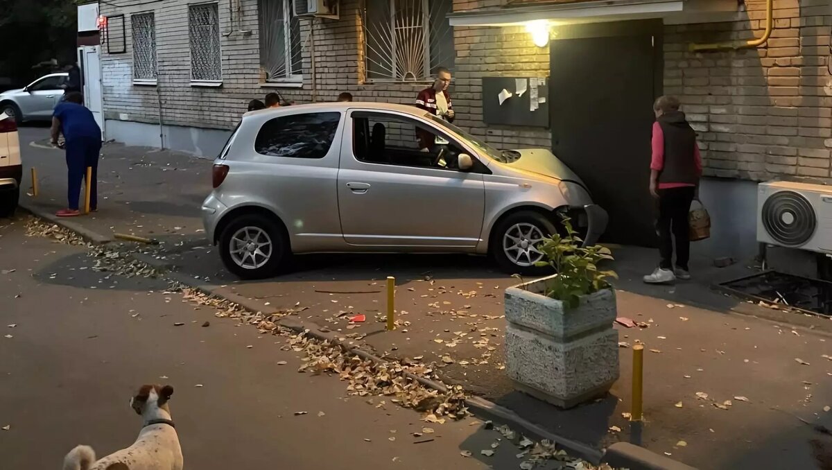     Автор: t.me/rostovcitynews