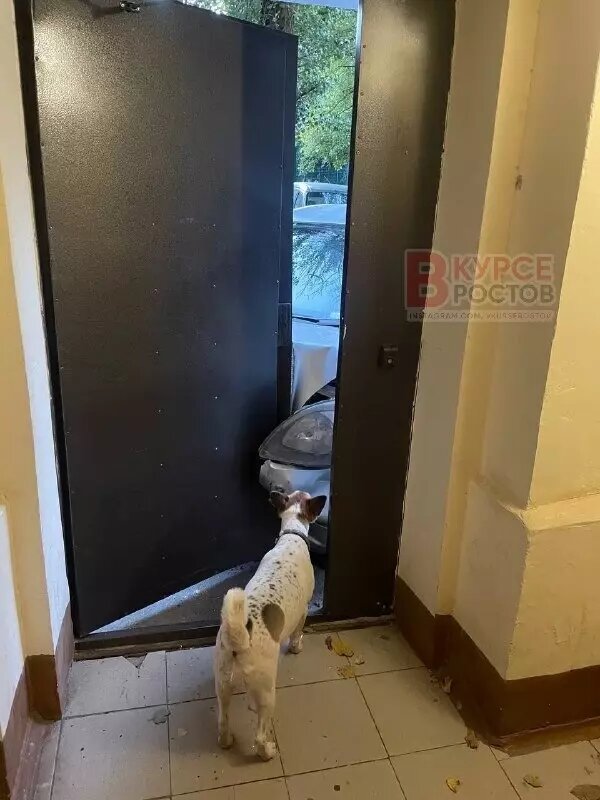     Автор: t.me/rostovcitynews