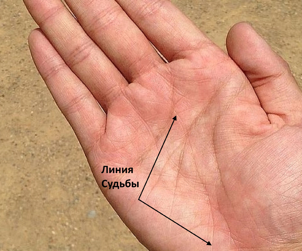 Линия Судьбы на ладони