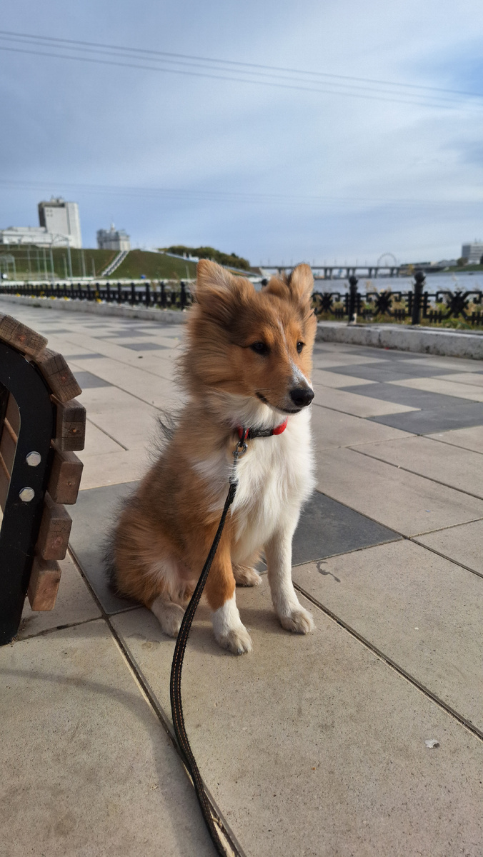 Я на прогулке (28.09.2024)