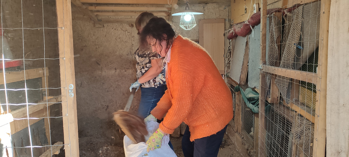 Девчата в процессе работы