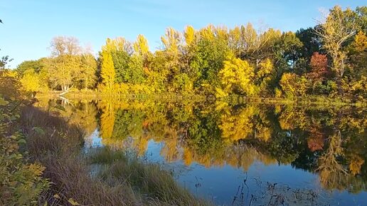 Золотая осень. Тольятти