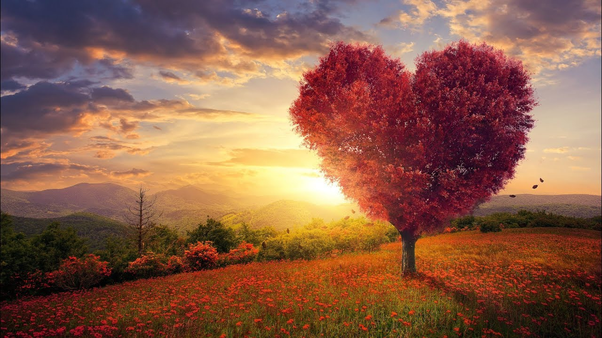 фото из интернета