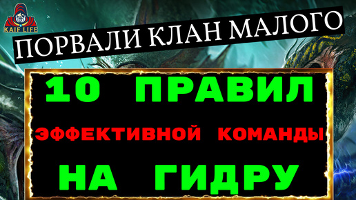 Рейд ГИДРА - БЕЙ ПРАВИЛЬНО ! 10 правил составления команд на гидру ! Порвали первенство гидры ! RAID