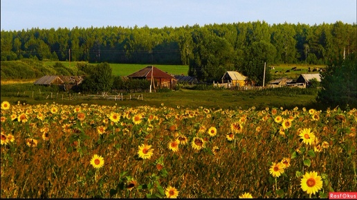 Моё село.