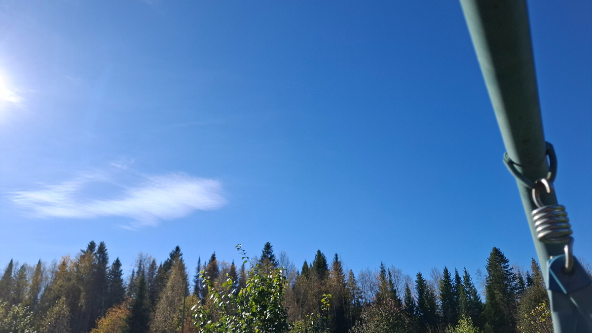 Села на качель. Золота на деревьях уже нет, а небо голубое-голубое!