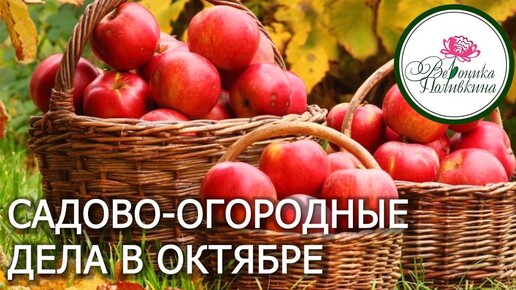 ШПАРГАЛКА САДОВО-ОГОРОДНЫХ ДЕЛ НА ОКТЯБРЬ_1