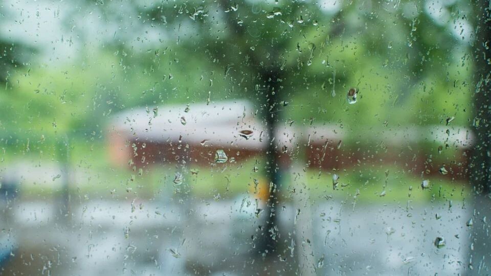    Дождь. Осень. Источник: pixabay.com