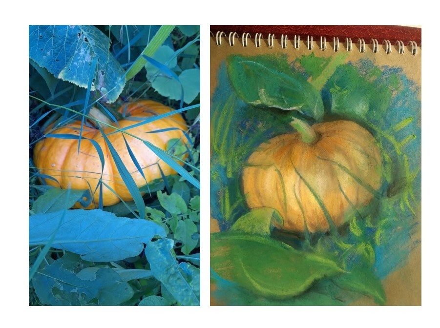 Тыква - сухая пастель