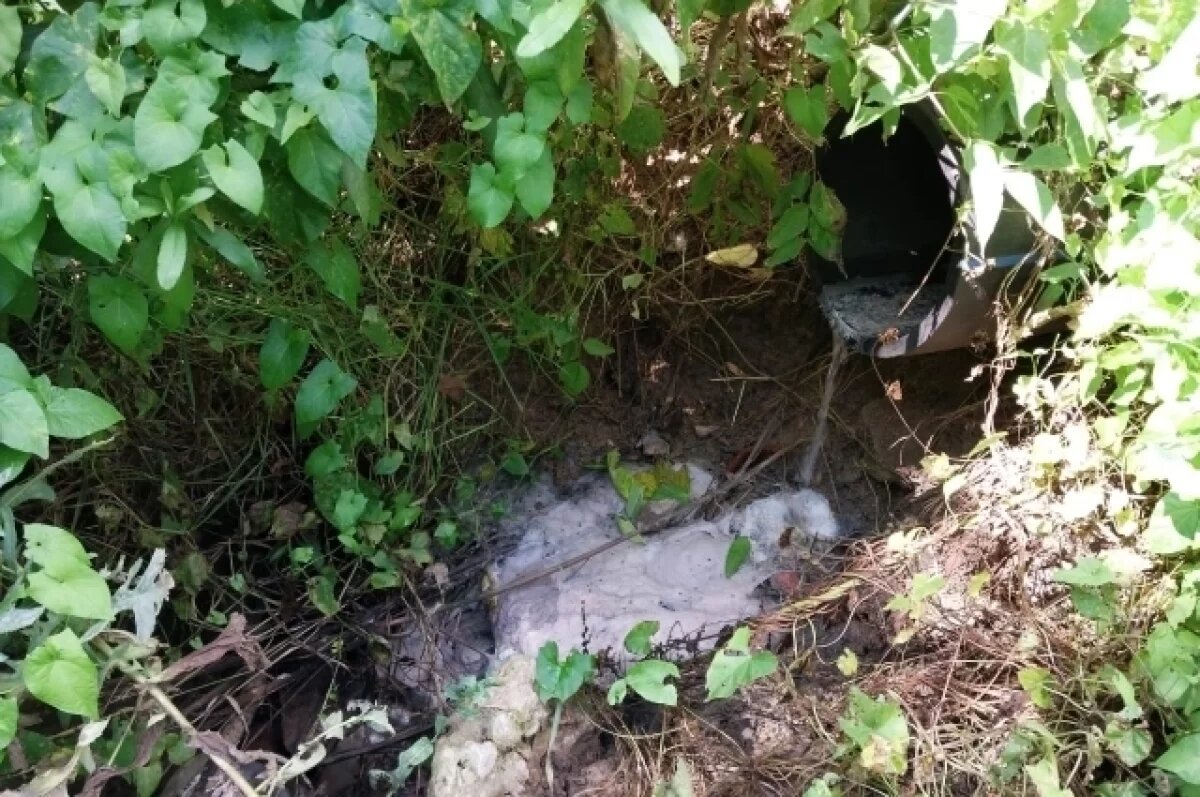    В лесу у пос. Рудаково Большой Тулы сливают сточные воды