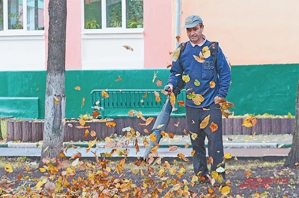    Самой дефицитной профессией на Кубани стали дворники