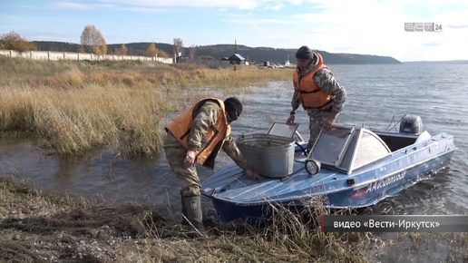 Со дна Братского водохранилища собирают браконьерские ловушки