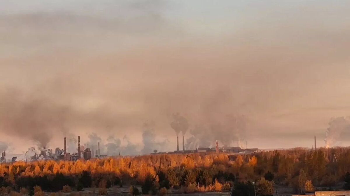     Источник: tagilcity.ru