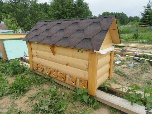 Один из первых  красивых ульев 2015-2016 год