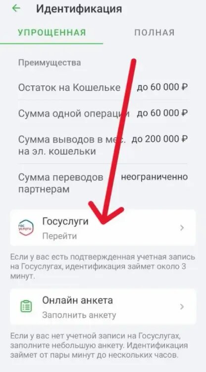    Выбор «Госуслуг» для идентификации