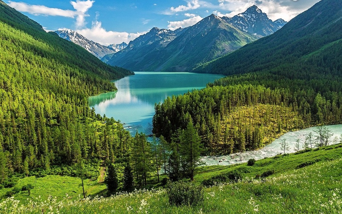  
Автор: Klimoschka