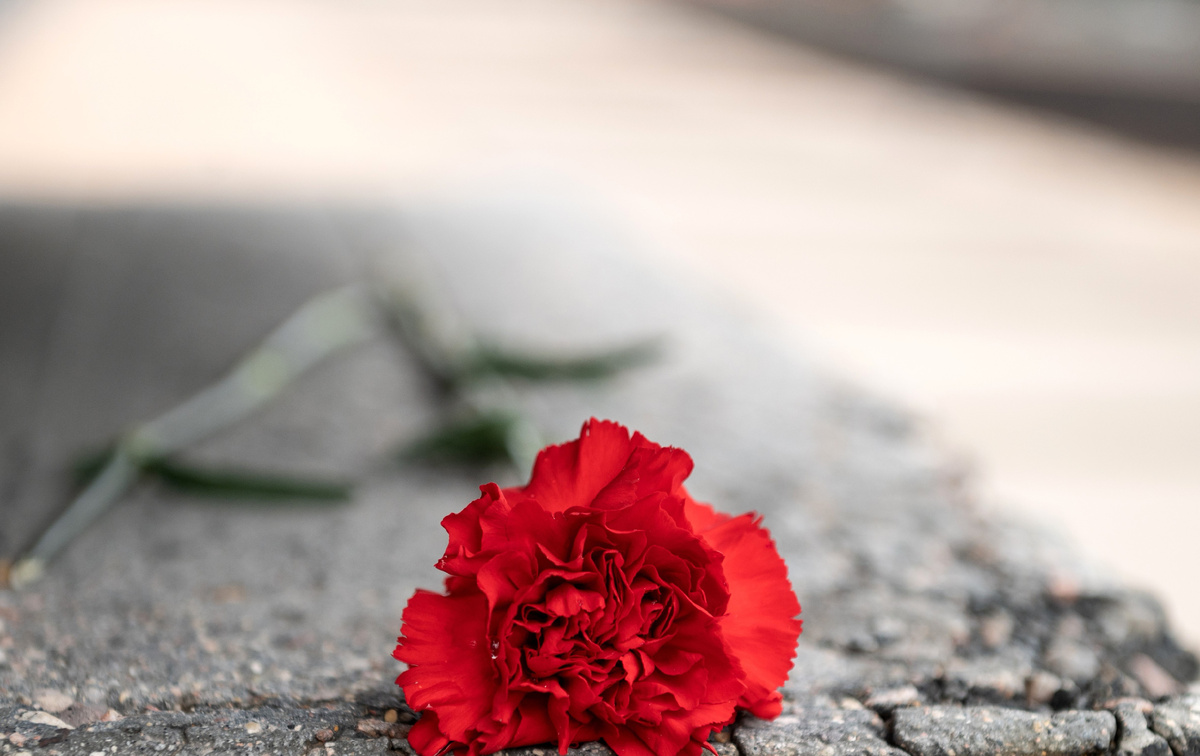 Фото: SashkaB/Shutterstock/Fotodom