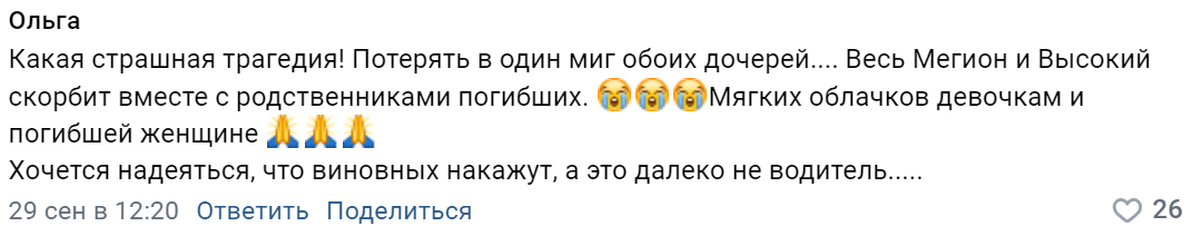 Скриншот комментария под публикацией сообщества «Типичный Мегион»/vk.com/typicalmegion