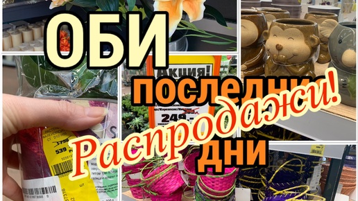 ОБИ Последние дни РАСПРОДАЖИ❗️Цены упали и серьезно☝️Кашпо, корзины, подставки по 99 рублей! Растения от 140 рублей!