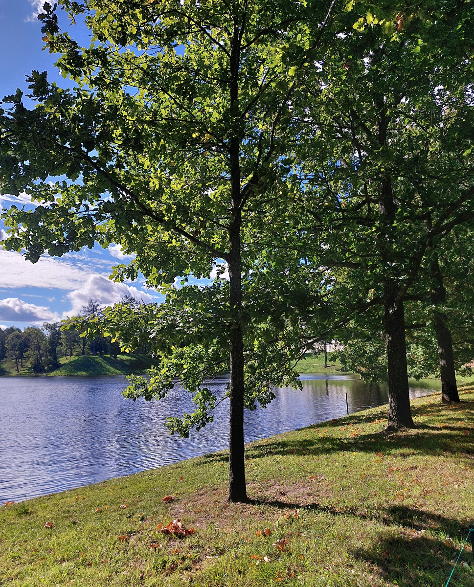 Фото автора Ораниенбаум