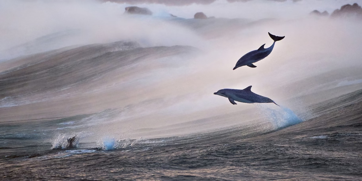    Фото: Jon Vause
