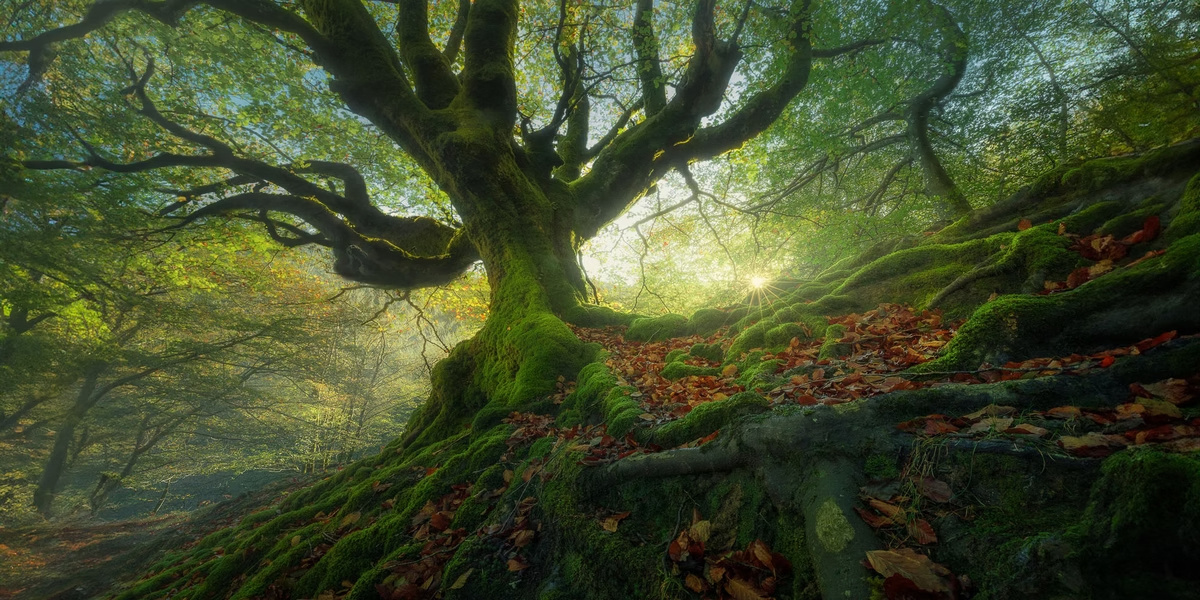    Фото: Rafael Garcia Luna