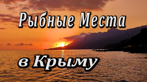 Рыболовный Трип По Крыму. Самое Крутое Рыболовное Место По ЮБК. Ялте Наступил Рыбный Сезон.