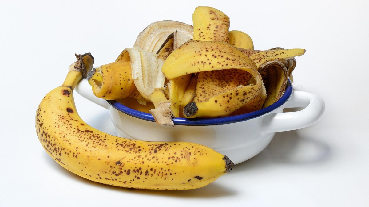 Фото: Jürgen Pfeiffer/globallookpress.com 