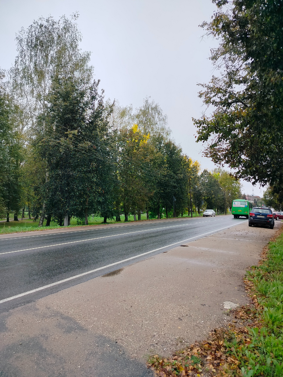 Золото падает с неба. Видите, какие яркие верхушки у деревьев? Точно золотые!