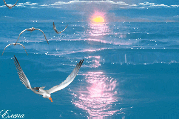 Наваждение. "...И чайки стаями кружились,..." (Фото анимационной картинки из открытого источника Яндекс).