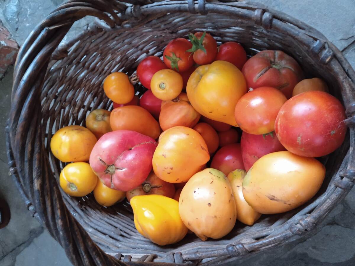 Все что создано, выращено своими руками - всегда необыкновенно вкусно