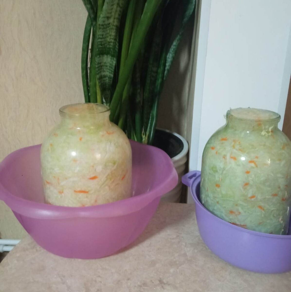 Идет процесс брожения