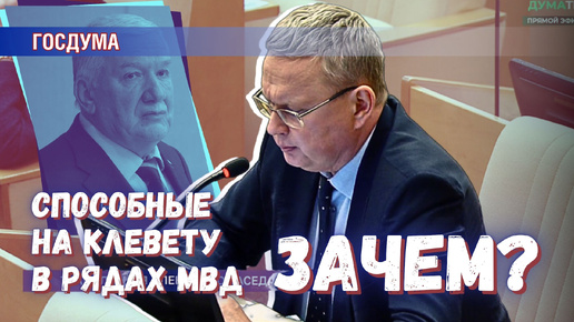 Зачем клеветники нужны в полиции, по мнению «Единой России»?