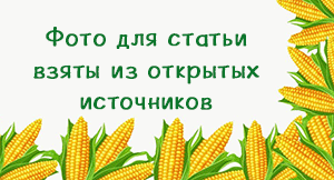 -5