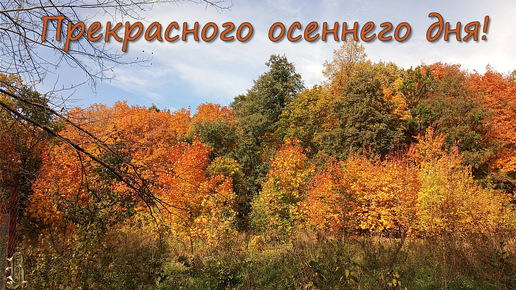 Прекрасного осеннего дня Природа дарит волшебные краски