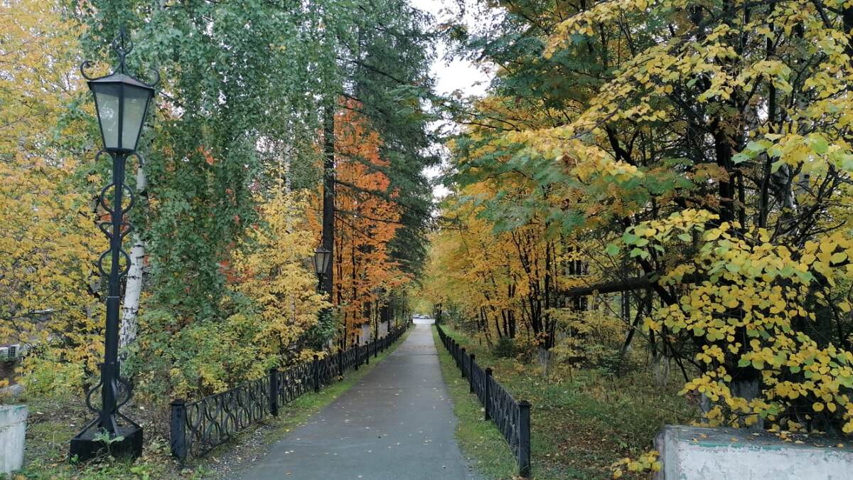 Фото автора. Для разбавления текста