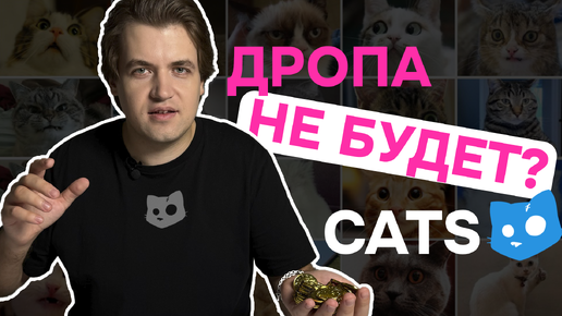 CATS отменили дроп? / Когда листинг? / Токеномика первого сезона