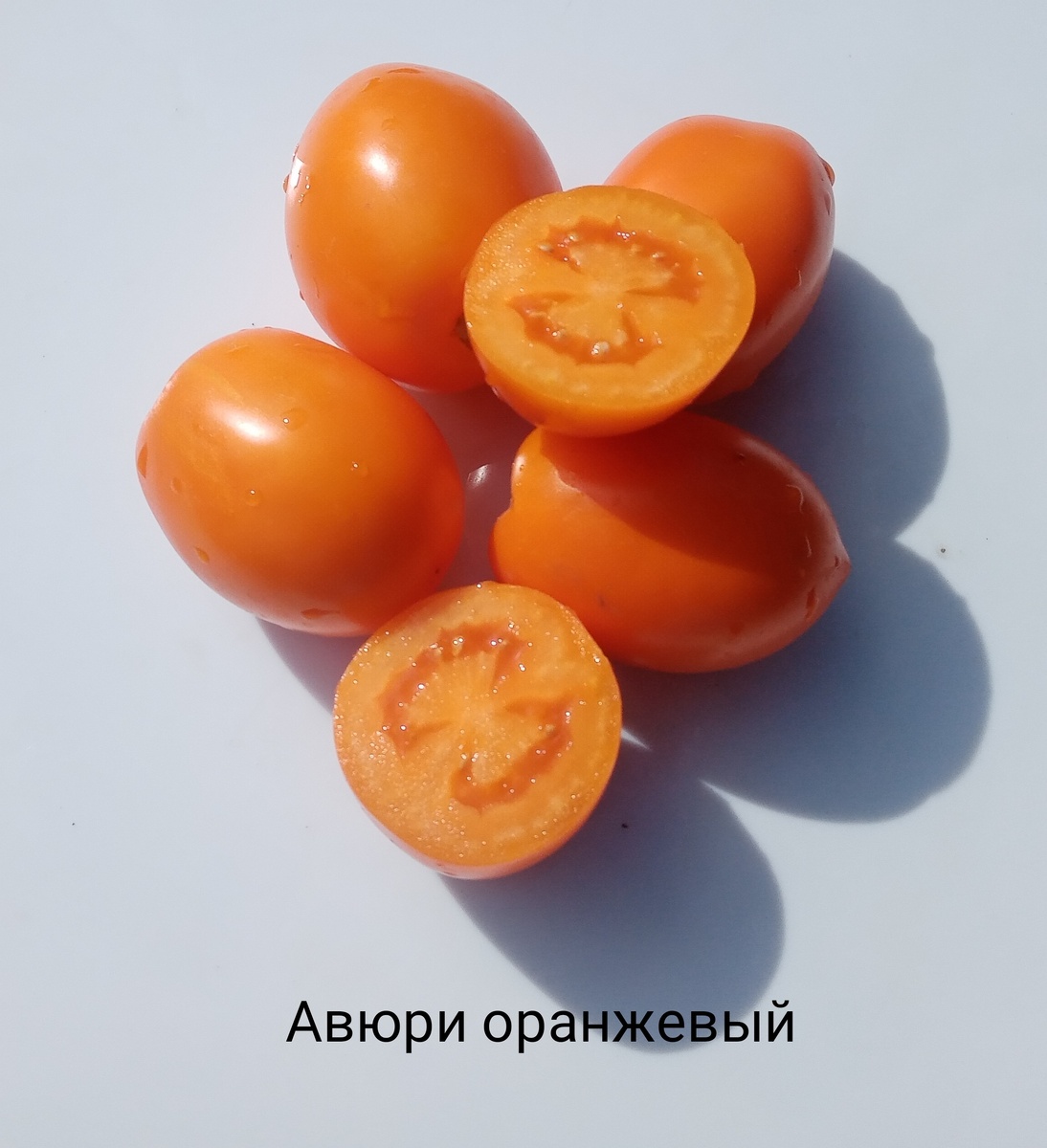 Этот сорт сладкий как мед и очень любит солнышко.