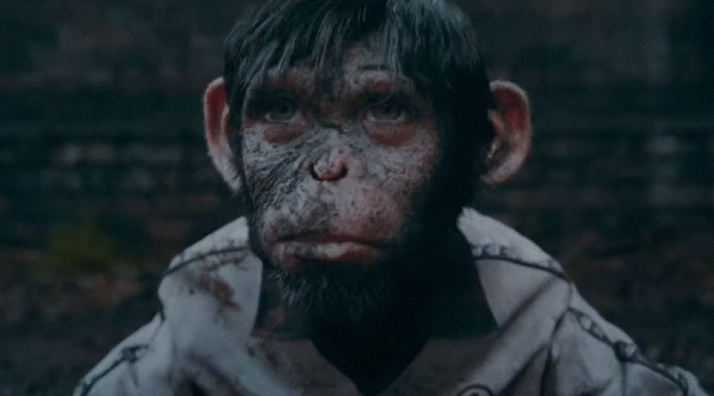     Кадр из трейлера фильма «Быть лучше: История Робби Уильямса» (2024)