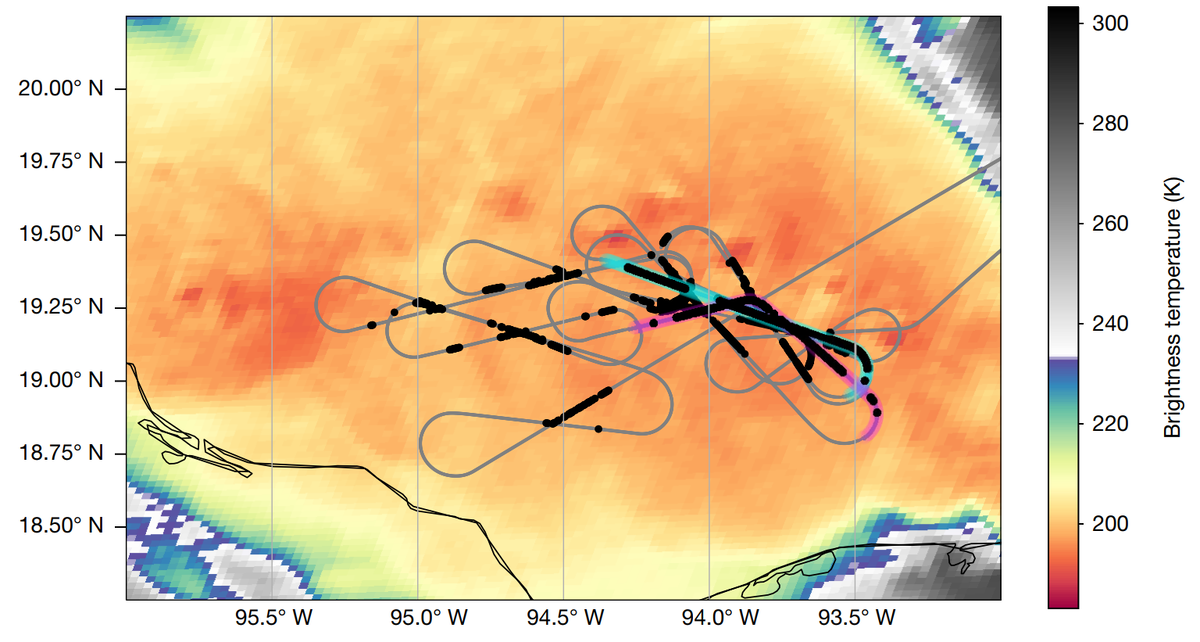   Martino Marisaldi et al. / Nature, 2024