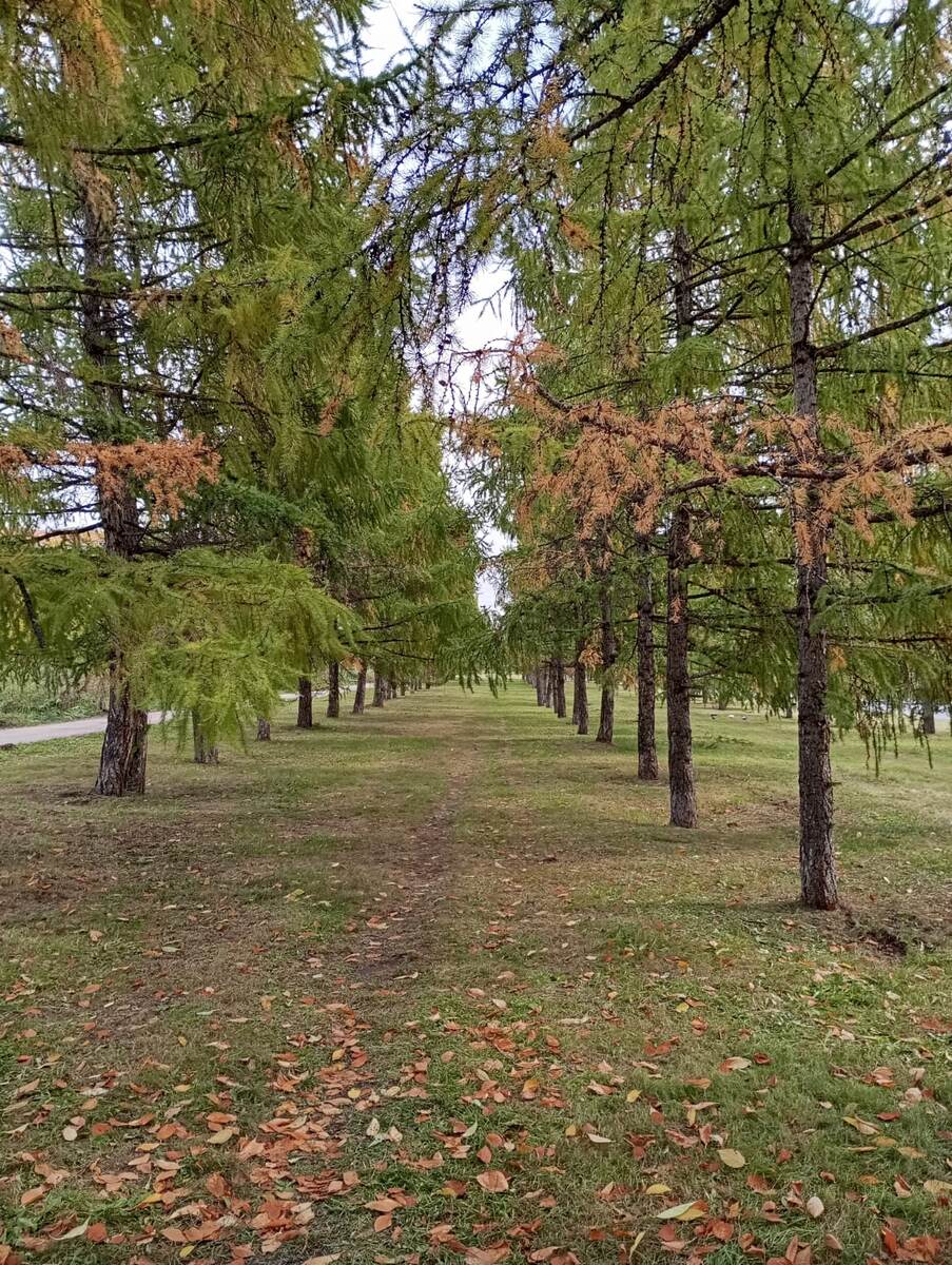 Фото моей подруги. Дороги нашей жизни