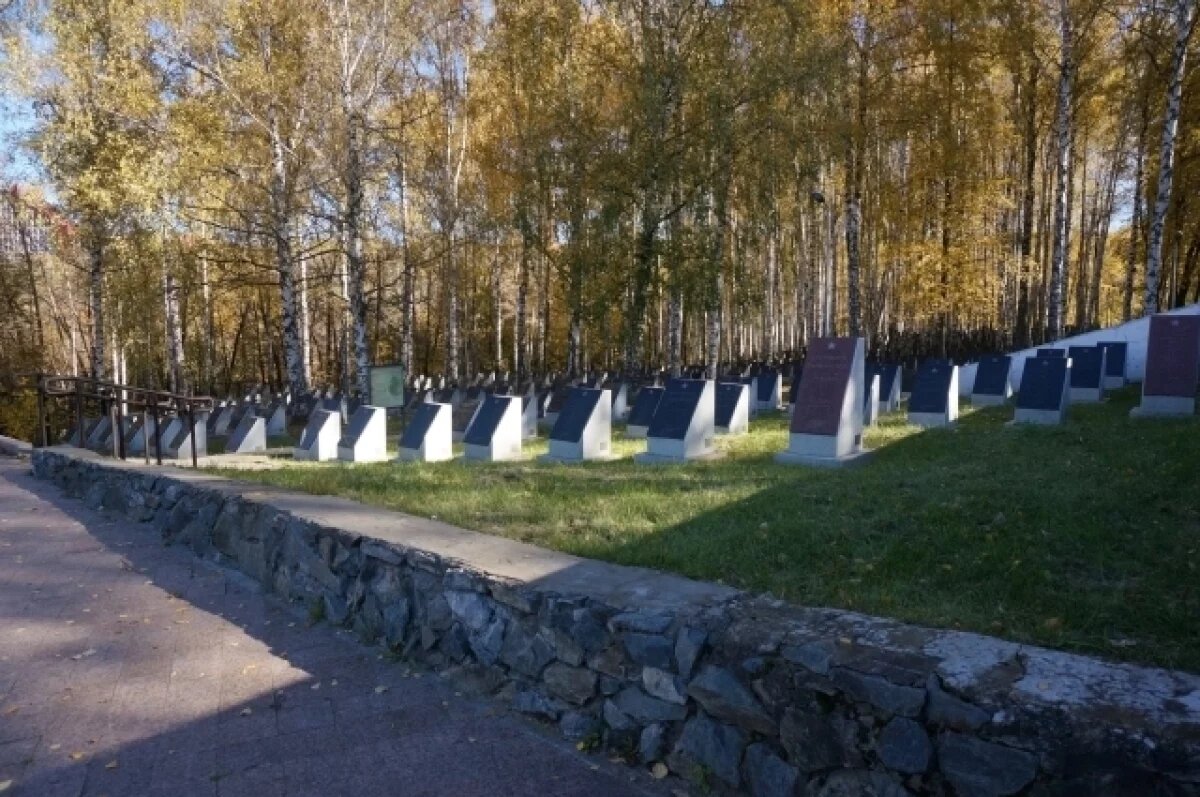    Подросток устроил сомнительную фотосессию на кладбище.