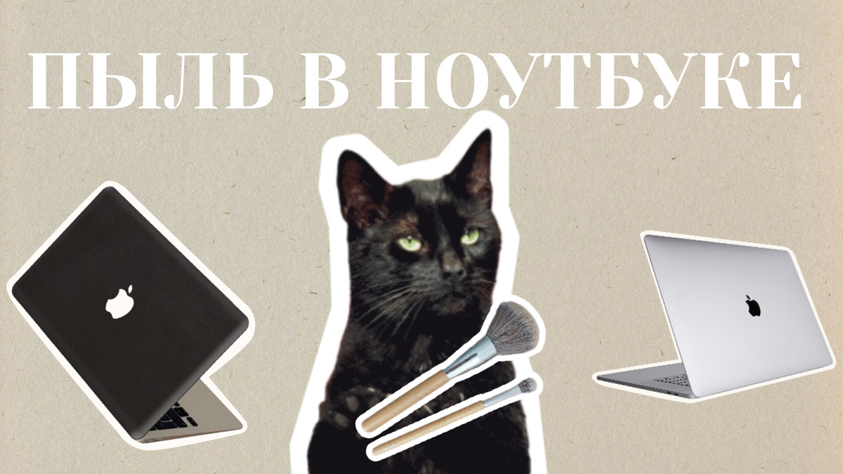 Чистота - прежде всего!