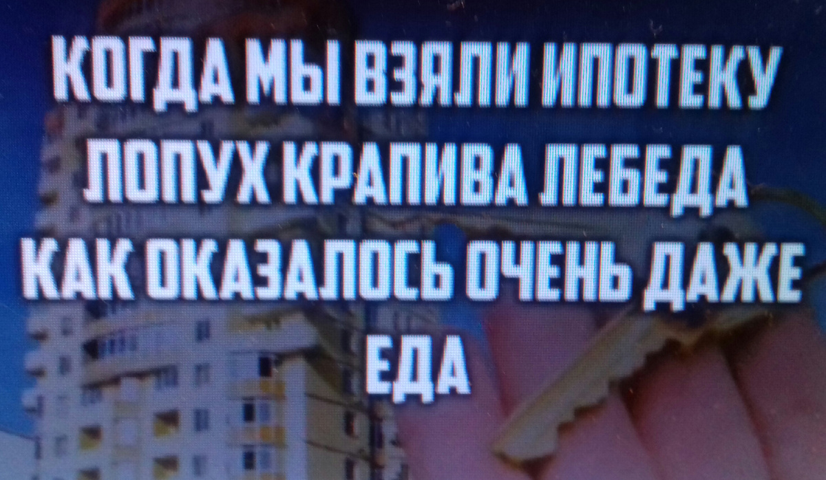 фото из интернета