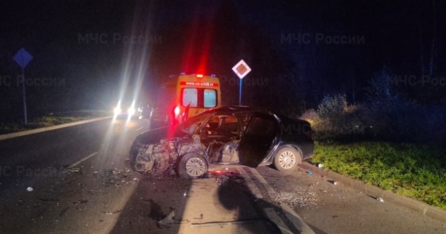 Фото: ГУ МЧС России по Ленобласти.