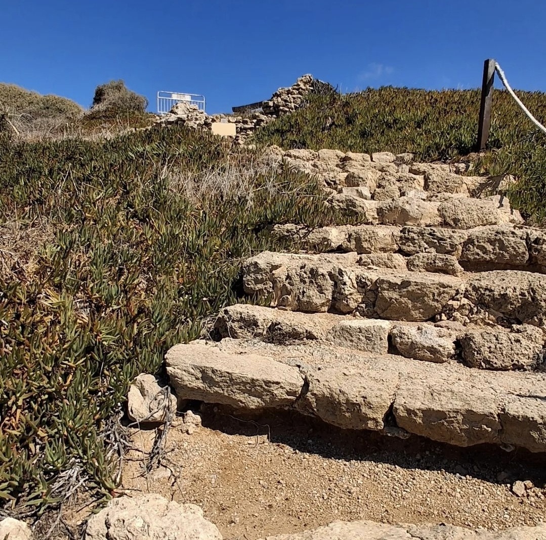 Одно из мест раскопок