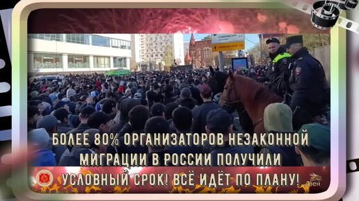 Download Video: Более 80% организаторов незаконной миграции в России получили условный срок!