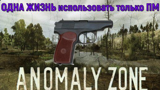 ЧЕЛЕНЖ в Anomaly Zone. ПРОЙТИ караван только с ПМ до первой смерти