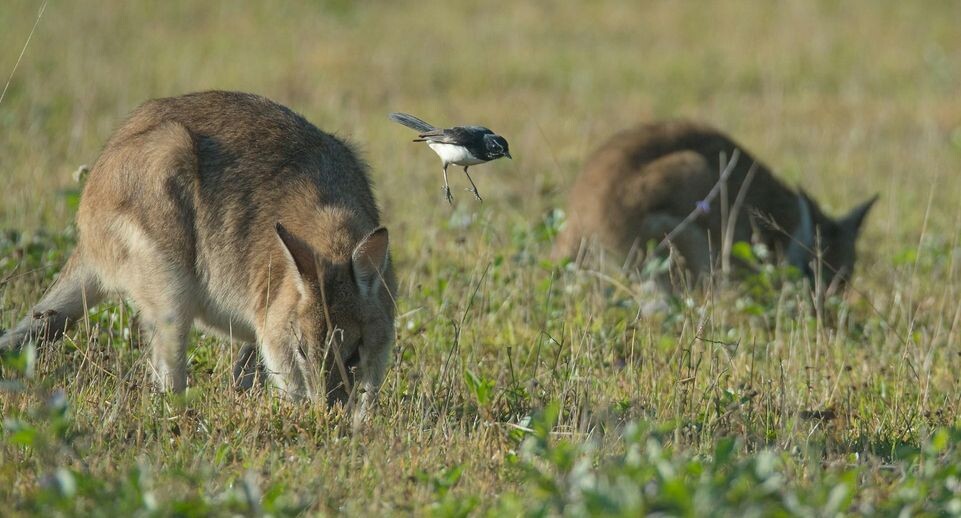    David Clode / Unsplash