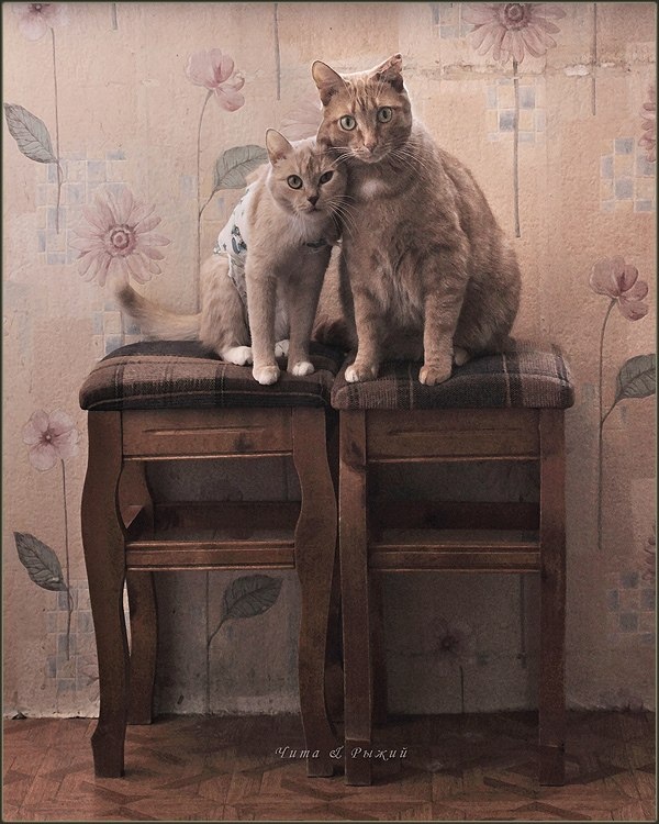 Источник Pinterest